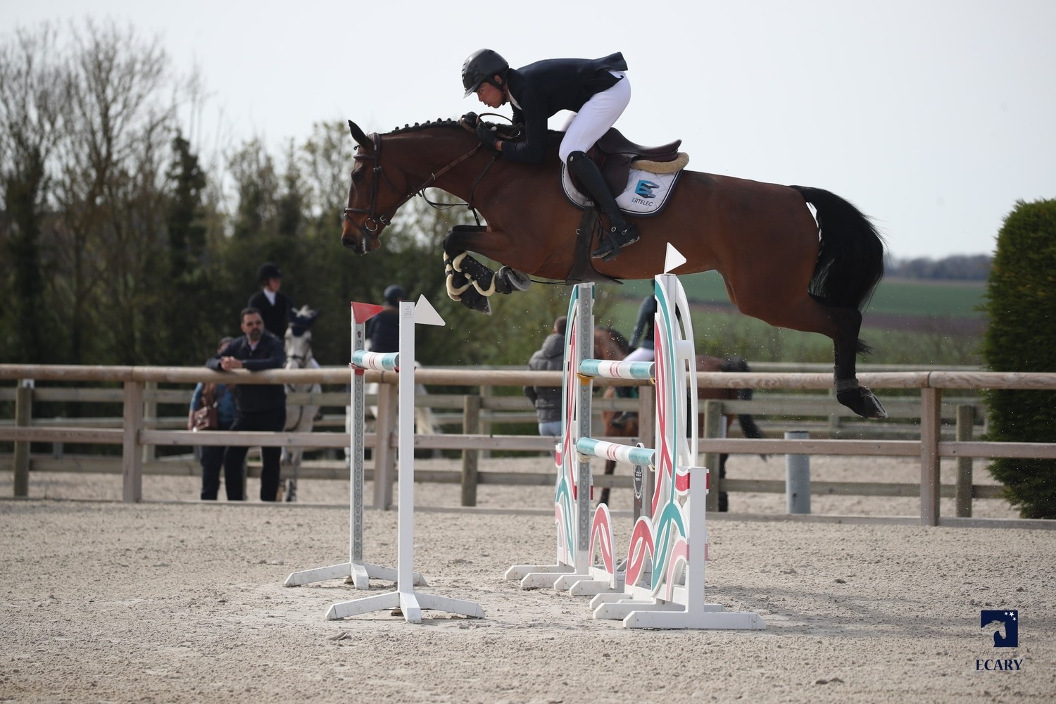 Anis Smati jumping a bay horse over an oxer in competition